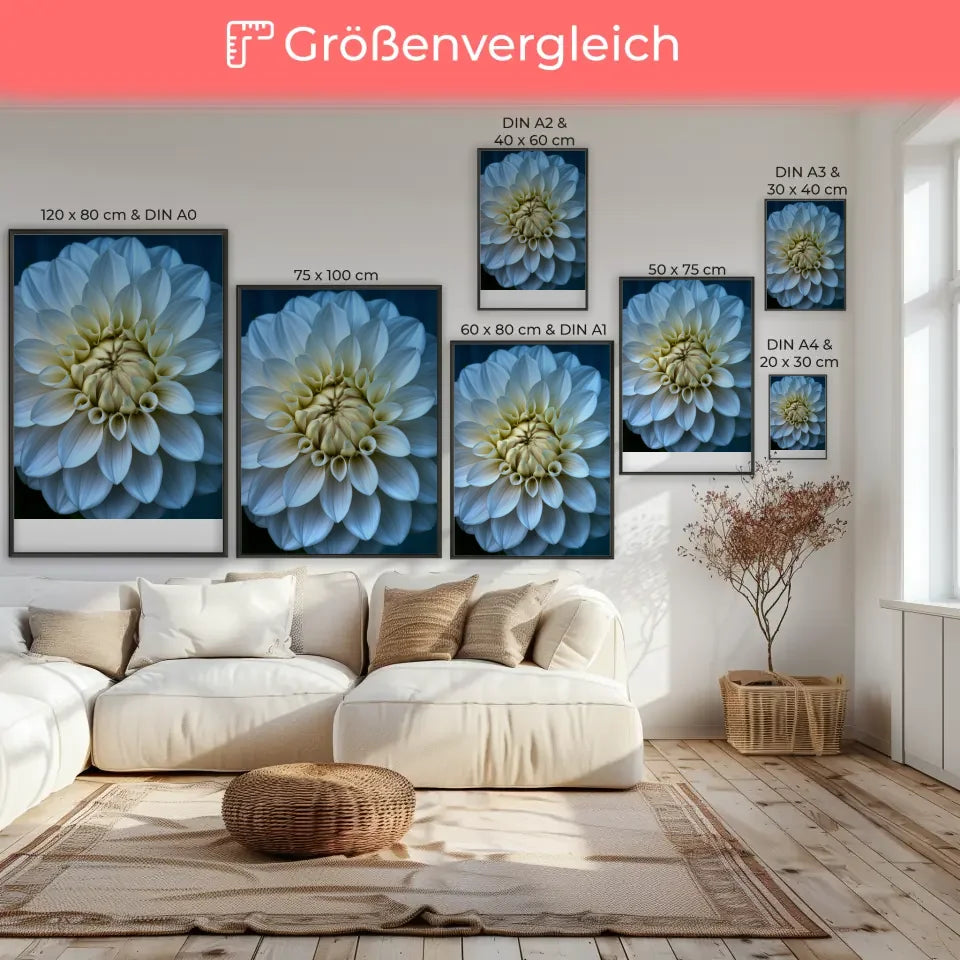 Eleganter Poster mit weißen Pfingstrosen in Blüte für Ihr Zuhause