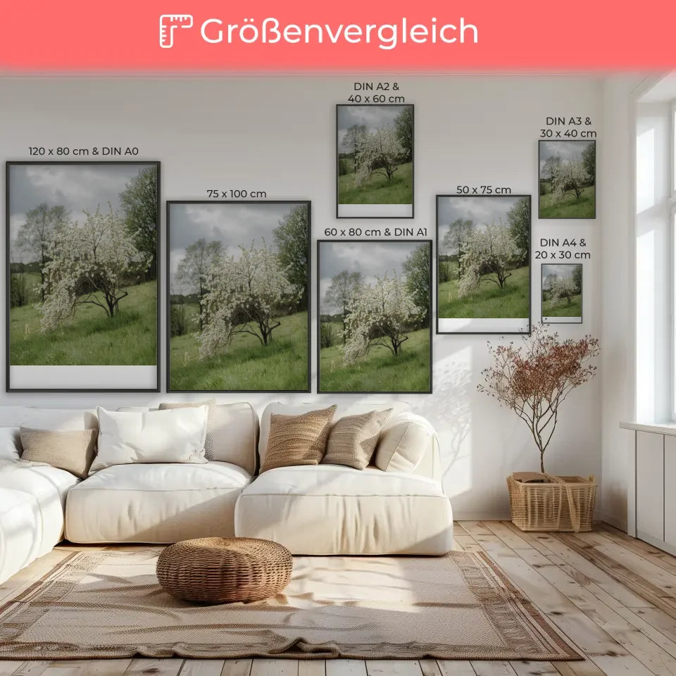 Poster nebliger Sonnenaufgang im Wald mit warmem Licht 7