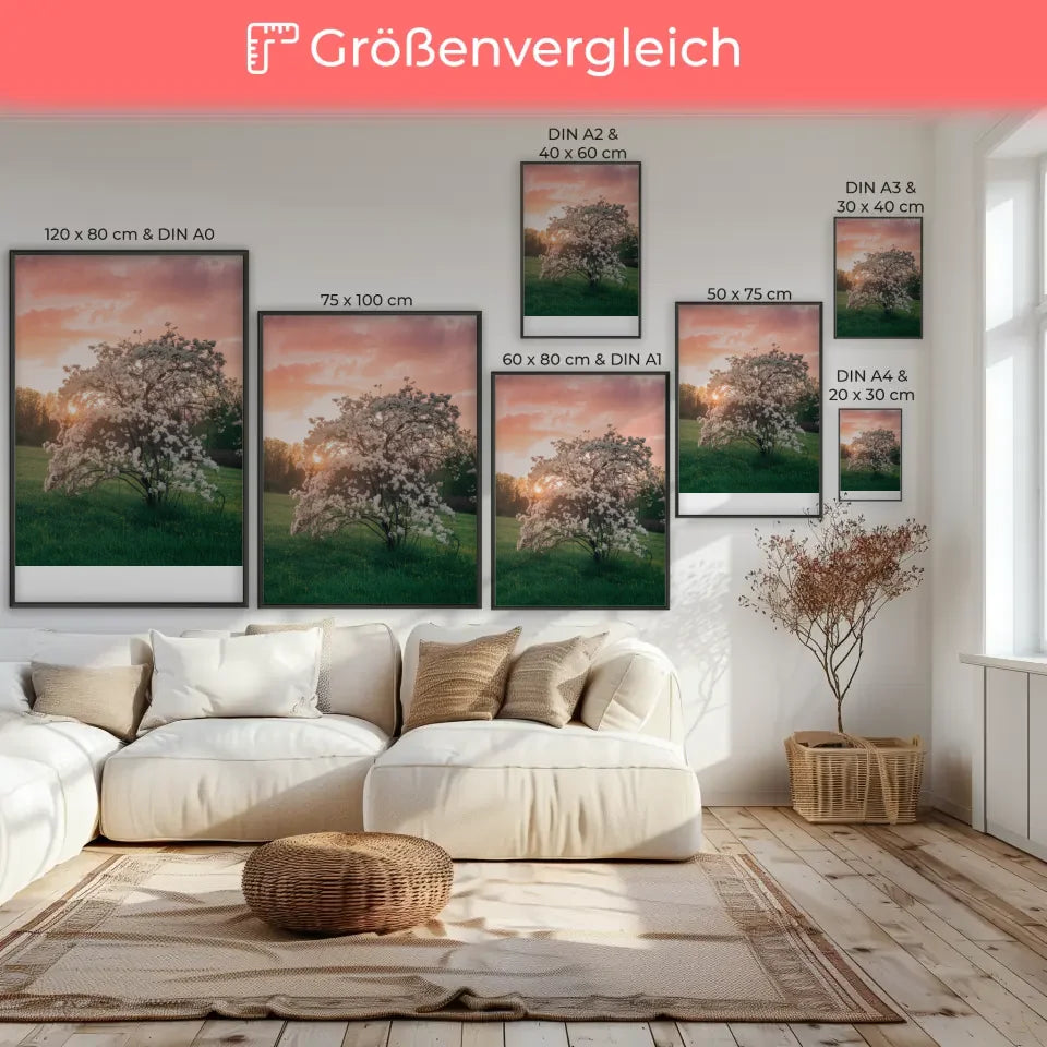 Poster nebliger Sonnenaufgang im Wald mit goldenem Licht und üppigem Grün 7