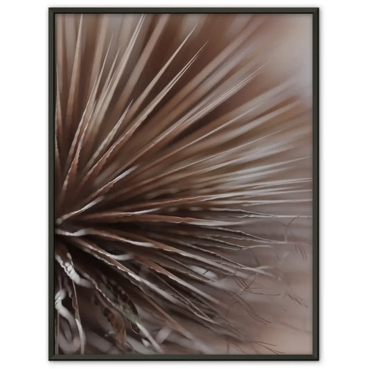 Elegante Poster mit zarten Federn in Beige und Braun für dein Zuhause