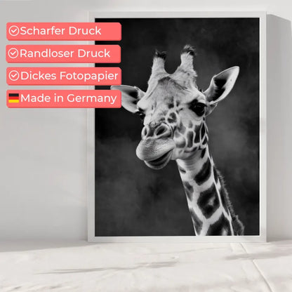 Giraffen Poster Schwarz-Weiß foto mit Gesicht und Hals im Dunkeln