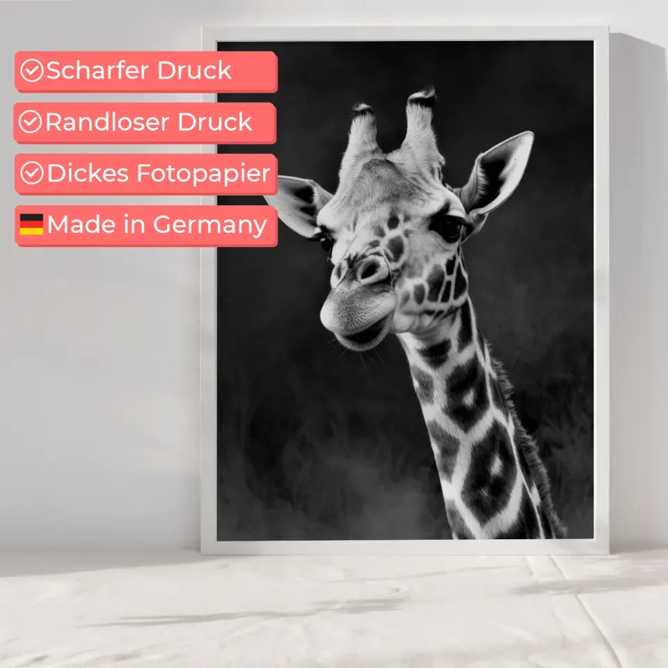 Poster Giraffe Schwarz-Weiß Foto mit faszinierenden Details kaufen