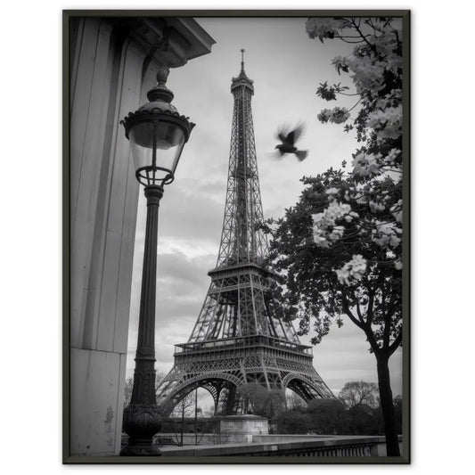 Schwarz-Weiß Poster Eiffelturm Paris mit Laternenpfahl und Blüten