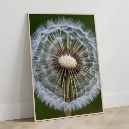 Eleganter Poster mit weißen Pfingstrosen in Blüte für Ihr Zuhause