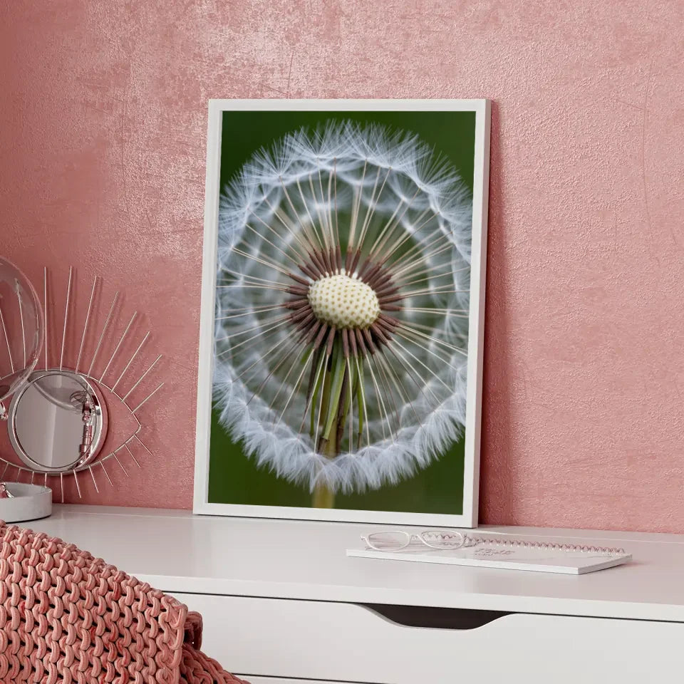 Eleganter Poster mit weißen Pfingstrosen in Blüte für Ihr Zuhause