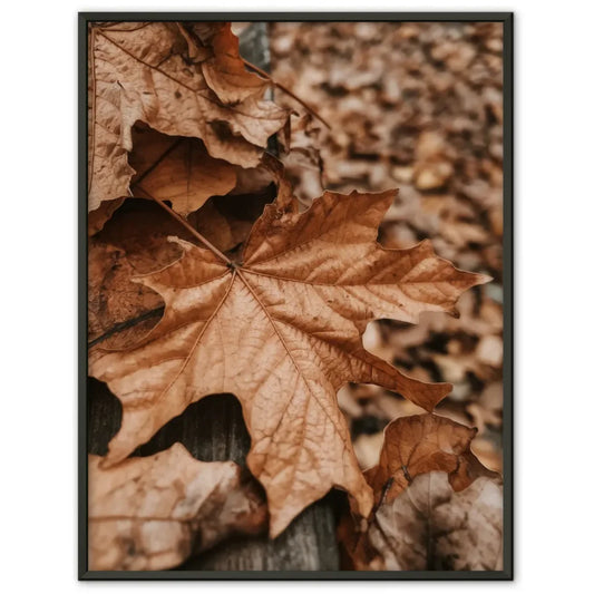 Minimalistisches Poster mit geometrischen Formen in Beige und Schwarz