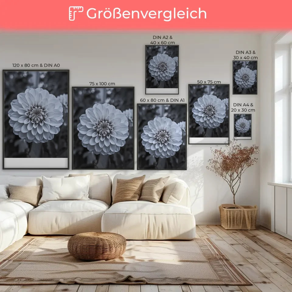Eleganter Poster mit weißen Pfingstrosen in Blüte für Ihr Zuhause