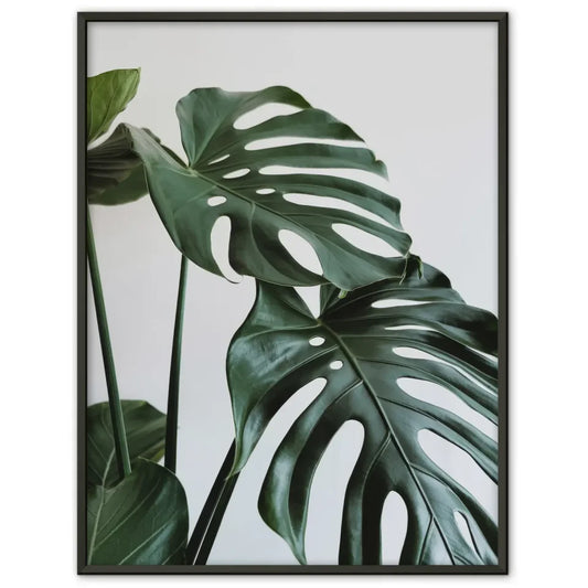 Poster mit grünen Blättern und Löchern für natürliche Raumgestaltung