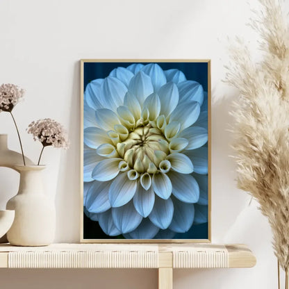 Eleganter Poster mit weißen Pfingstrosen in Blüte für Ihr Zuhause