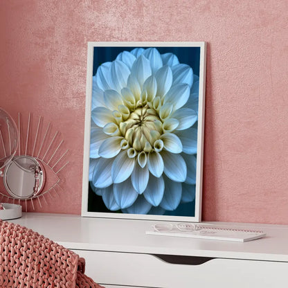 Eleganter Poster mit weißen Pfingstrosen in Blüte für Ihr Zuhause