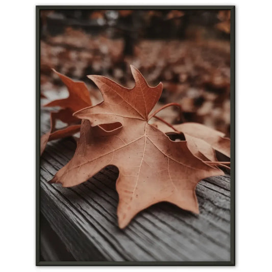 Minimalistisches Poster mit geometrischen Formen in Beige und Schwarz