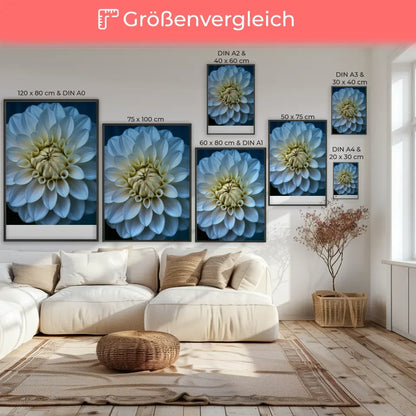 Eleganter Poster mit weißen Pfingstrosen in Blüte für Ihr Zuhause