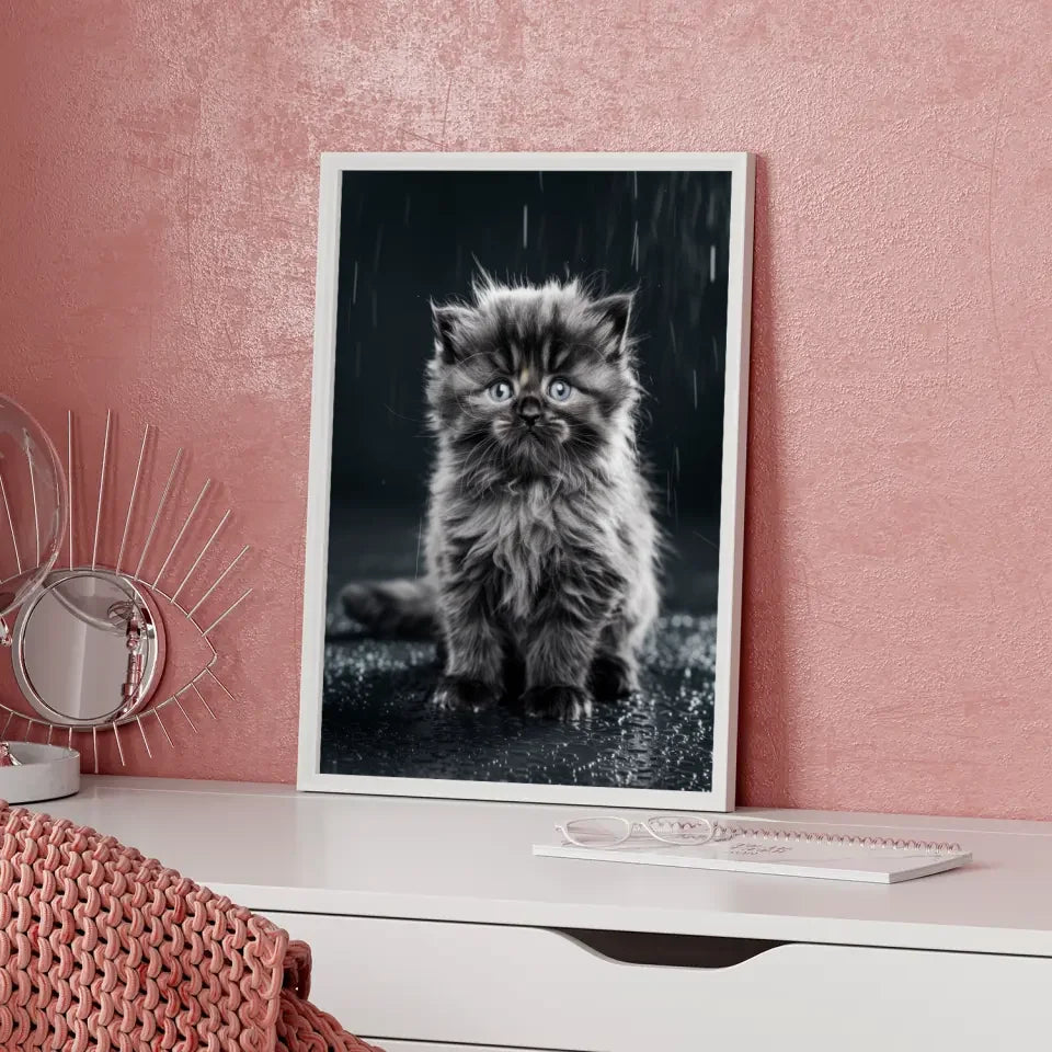 Flauschiges Kätzchen im Nieselregen Poster mit blauen Augen kaufen