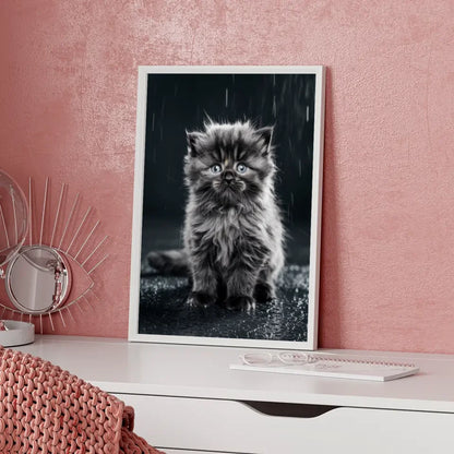 Flauschiges Kätzchen im Nieselregen Poster mit blauen Augen kaufen