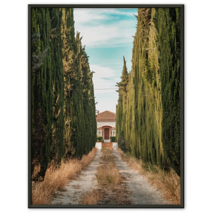 Poster Kalifornischer Strand Sonnenuntergang Palmen und Himmel