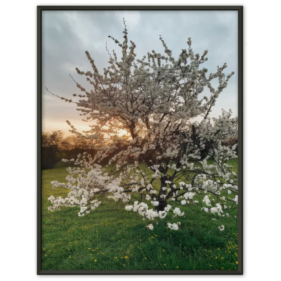 Poster blühender Baum auf grüner Wiese mit gelben Blumen für dein Zuhause