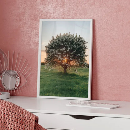 Poster eines blühenden Baumes in der Abendsonne auf grüner Wiese