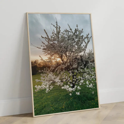 Poster blühender Baum auf grüner Wiese mit gelben Blumen für dein Zuhause