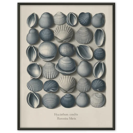 Vintage Muschel Poster in Blau und Weiß für maritime Räume