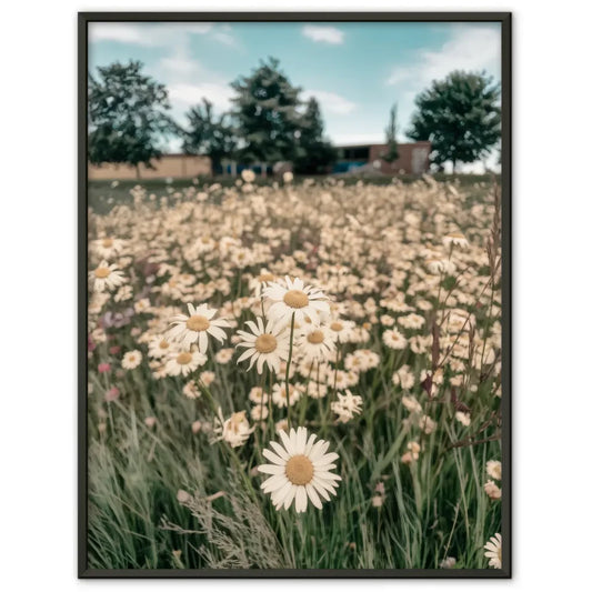 Harmonische Strandszene mit Muschel und sanften Farben für dein Zuhause 1