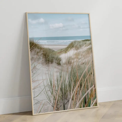 Poster mit Naturmotiv Samtgras Dünen Strand und Meer in Nahaufnahme