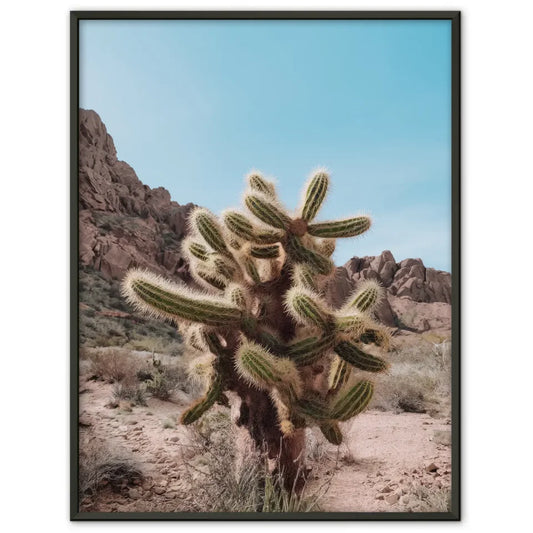 Humorvolles Katzenposter im Vintage-Stil – Jetzt im Poster Shop erhältlich! 1