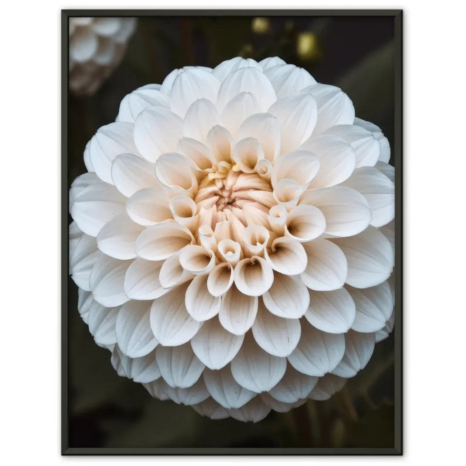 Sonnenuntergang am kalifornischen Strand - Wandposter für frische Atmosphäre 1