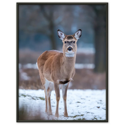 Monochrome Aquarellillustration eines Pflanzenmotivs mit Licht und Schatten 1