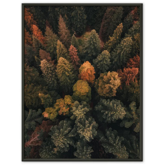 Monochrome Pflanzen-Aquarellgrafik als Poster mit Licht und Schatten 1