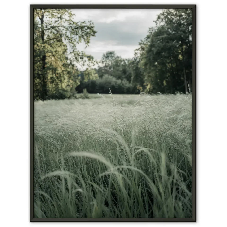 Sanfte Farben im Wald Nebeliger Sonnenaufgang Poster 1