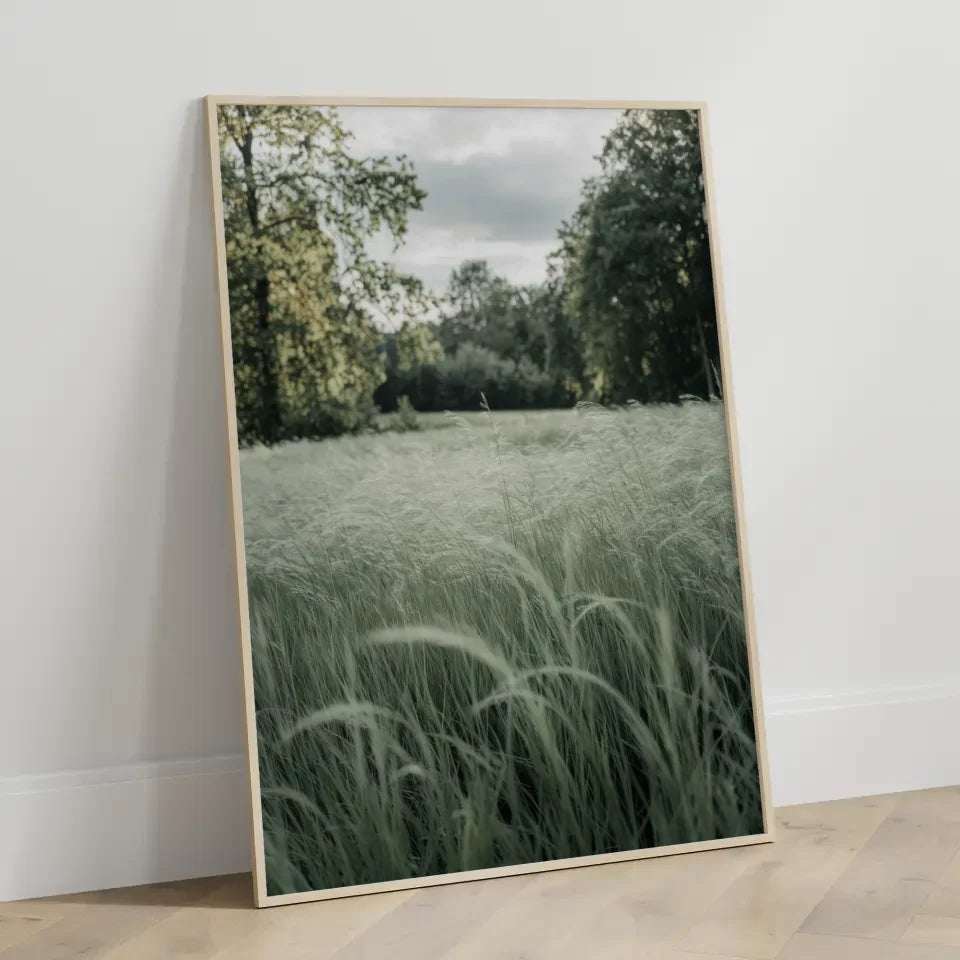 Sanfte Farben im Wald Nebeliger Sonnenaufgang Poster 3