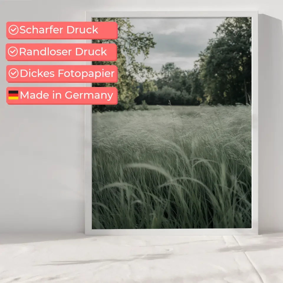 Sanfte Farben im Wald Nebeliger Sonnenaufgang Poster 6