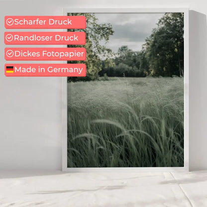 Sanfte Farben im Wald Nebeliger Sonnenaufgang Poster 6