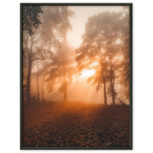 Poster nebliger Sonnenaufgang im Wald mit goldenem Licht