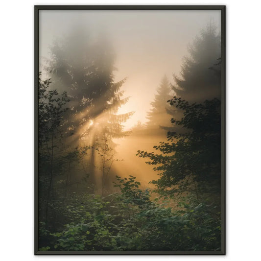 Poster nebliger Sonnenaufgang im Wald mit goldenem Licht und Grün