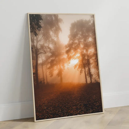 Poster nebliger Sonnenaufgang im Wald mit goldenem Licht