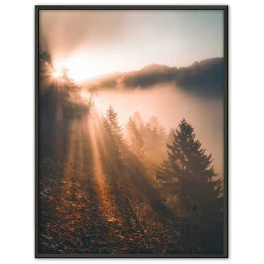 Poster nebliger Sonnenaufgang im Wald mit goldenem Licht und Bergen