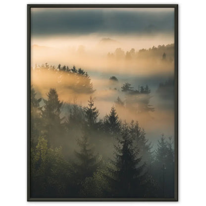 Poster nebliger Sonnenaufgang im Wald mit strahlendem Licht