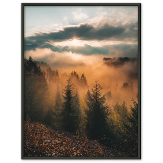 Poster Sonnenaufgang über nebligem Wald mit goldenen Lichtstrahlen