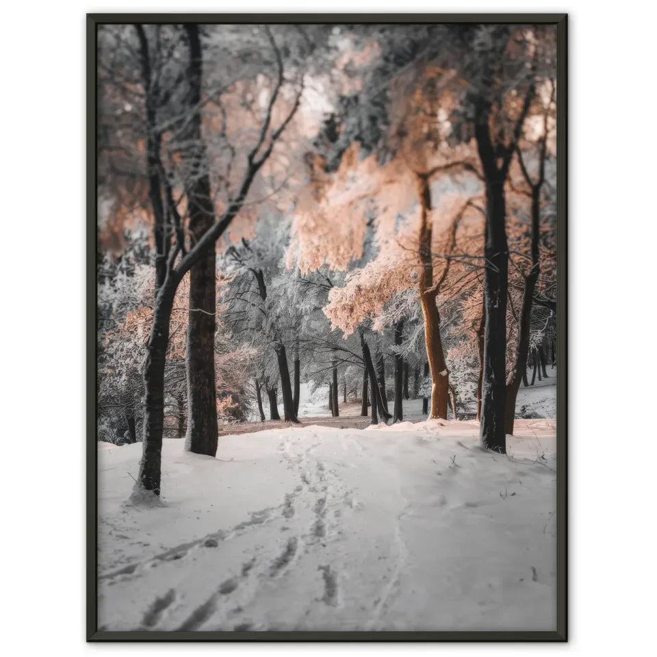 Fuchs Poster mit heiterem Blick im natürlichen Lebensraum - jetzt kaufen! 1