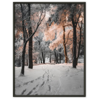 Fuchs Poster mit heiterem Blick im natürlichen Lebensraum - jetzt kaufen! 1