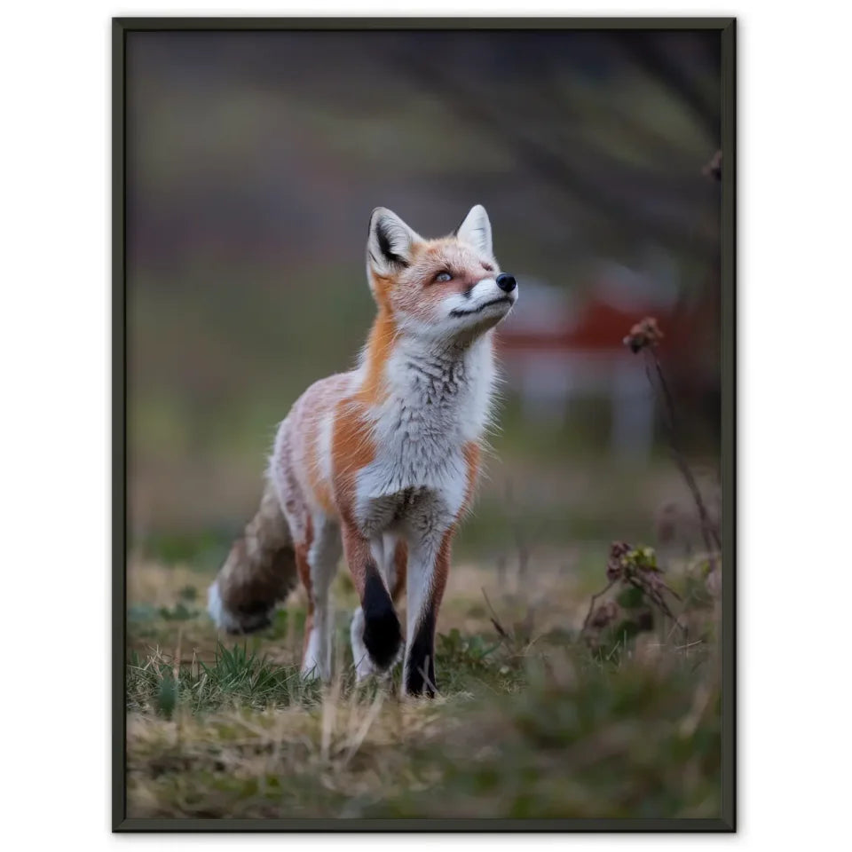 Kreisförmige Minimalkunst in sanften Pastellfarben 1