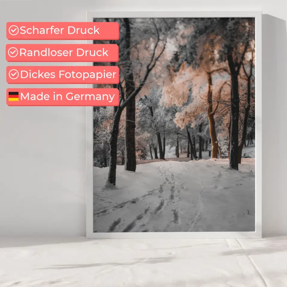 Fuchs Poster mit heiterem Blick im natürlichen Lebensraum - jetzt kaufen! 6