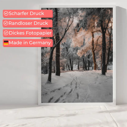 Fuchs Poster mit heiterem Blick im natürlichen Lebensraum - jetzt kaufen! 6