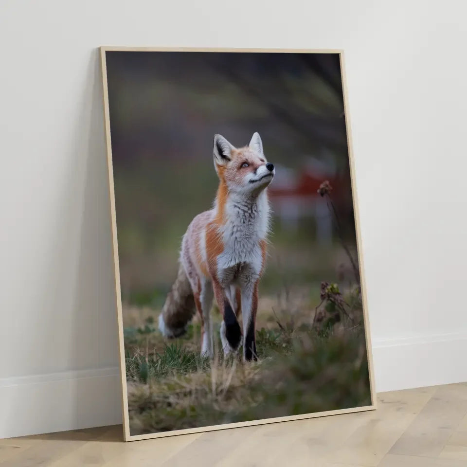 Kreisförmige Minimalkunst in sanften Pastellfarben 3