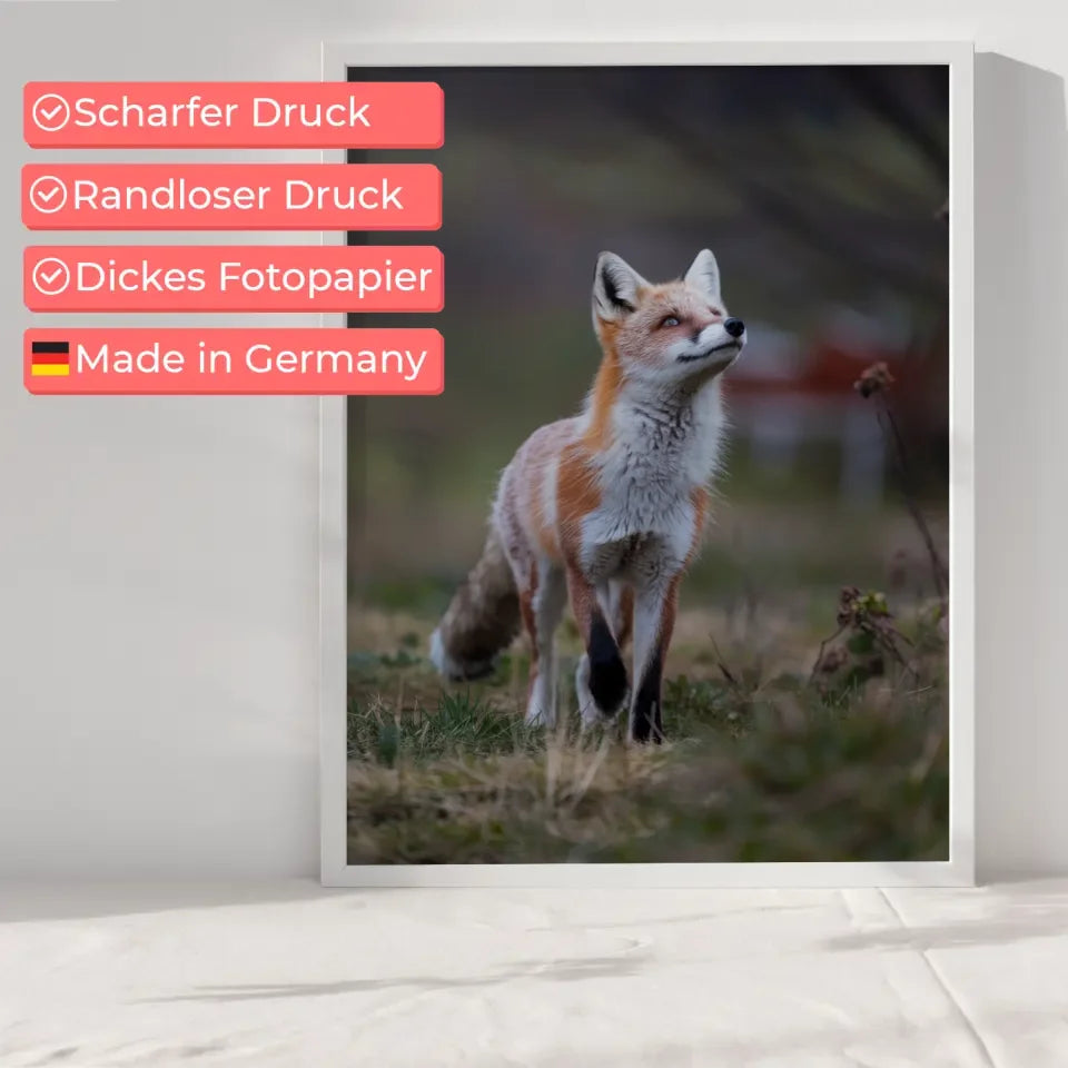 Kreisförmige Minimalkunst in sanften Pastellfarben 6