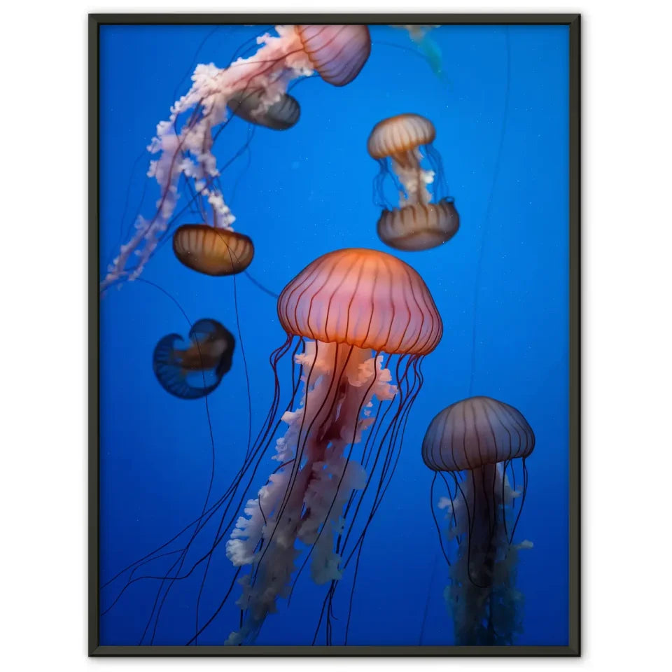 Poster der Dolomiten bei Sonnenuntergang – Natur & Berge 1