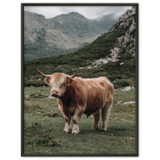 Kunstvolles Poster mit bunten Farbspritzern auf dunklem Hintergrund 1