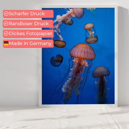 Poster der Dolomiten bei Sonnenuntergang – Natur & Berge 6