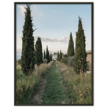 Poster Kalifornischer Strand Sonnenuntergang Palmen und Himmel